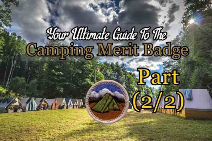 Camping merit badge workbook answers