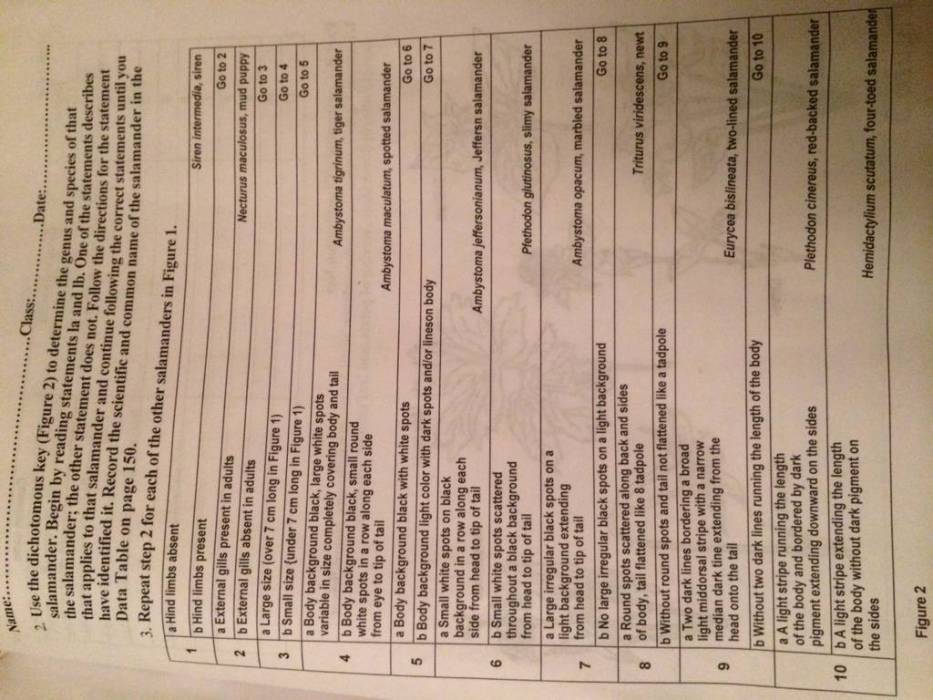 Living environment v202 answer key