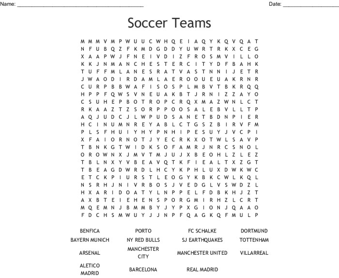 Soccer players protect them crossword