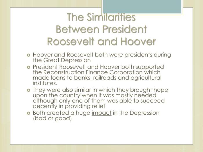 Similarities between hoover and roosevelt