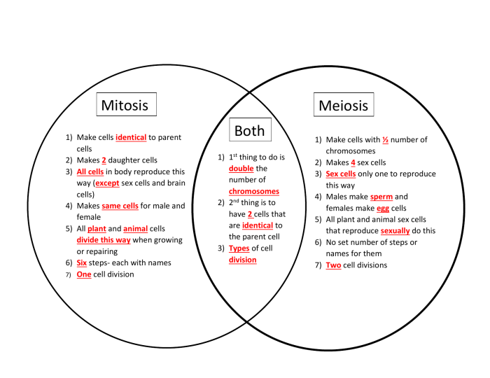 Contrasting mitosis and meiosis answer key