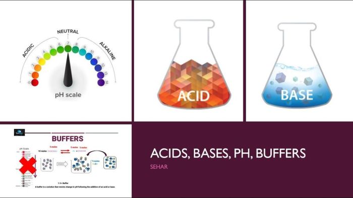 Acids bases ph and buffers lab report answers