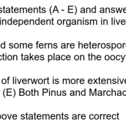 Statements complete following dragging each word phrase proper position rearrange into then chegg transcribed text show