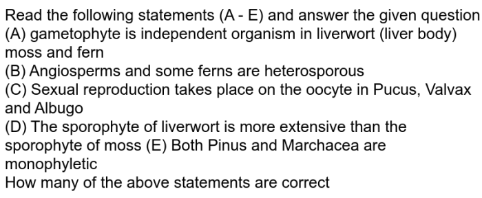 Statements complete following dragging each word phrase proper position rearrange into then chegg transcribed text show